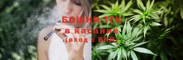 прущие грибы Аркадак