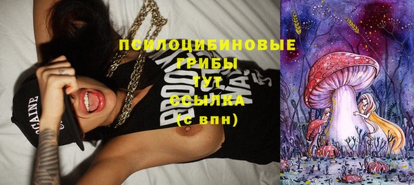 прущие грибы Аркадак