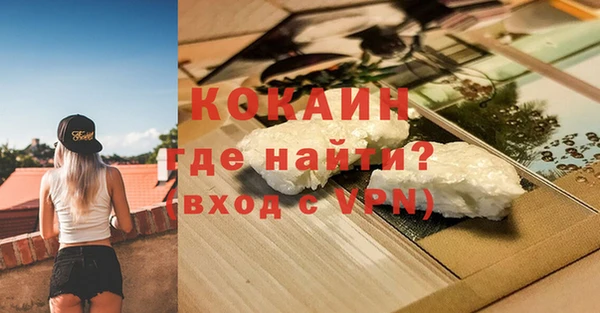 прущие грибы Аркадак