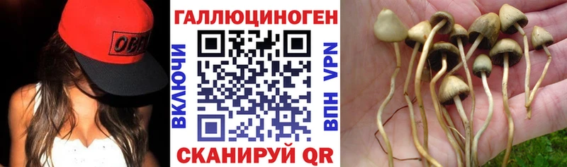 KRAKEN вход  Макарьев  Галлюциногенные грибы Cubensis  магазин  наркотиков 